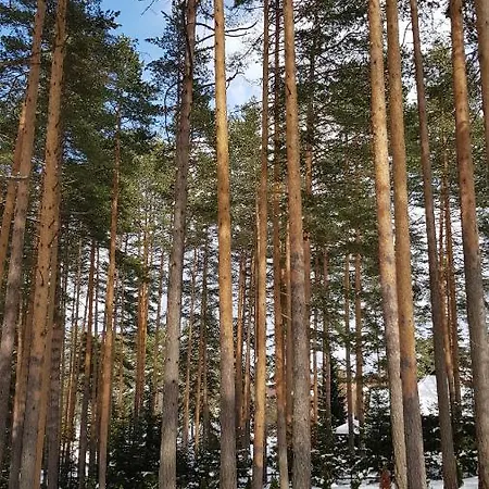 Apartmán Titova Jovanka *