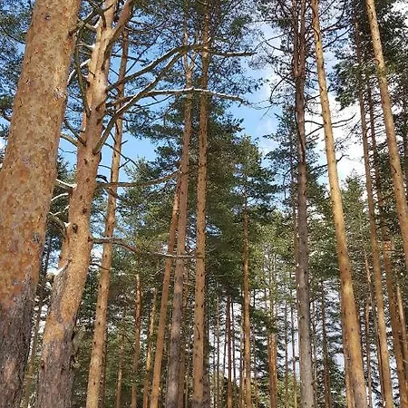 Titova Jovanka * Zlatibor