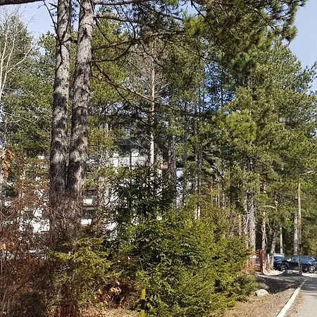 Apartmán Titova Jovanka