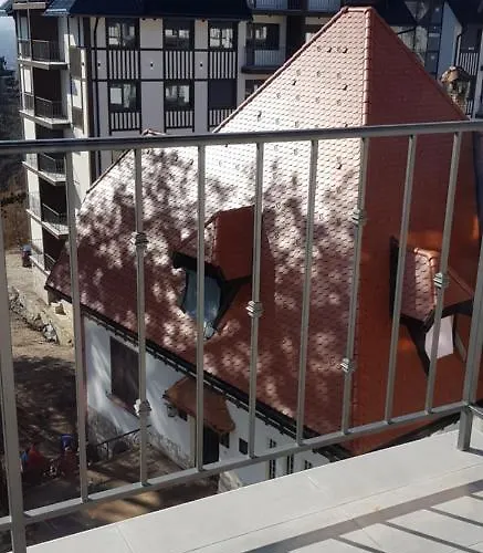 Titova Jovanka 즐라티보