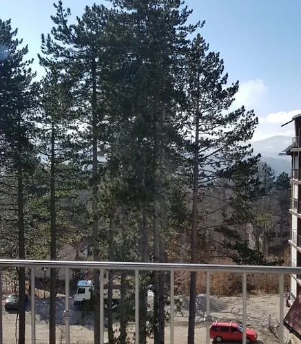 Titova Jovanka 즐라티보