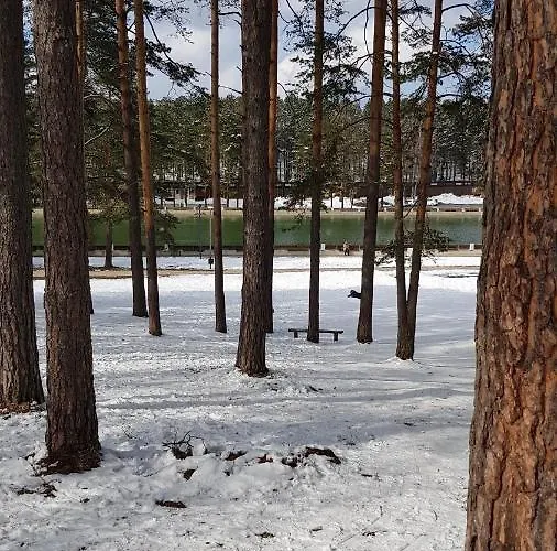 Titova Jovanka 즐라티보