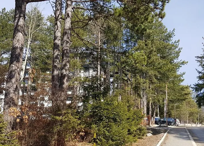 아파트 Titova Jovanka