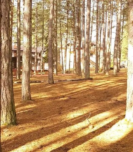 Titova Jovanka 아파트 즐라티보